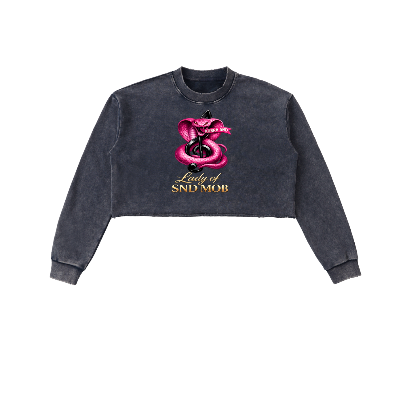 Snow Washed Raw Edge Cropped Sweatshirt