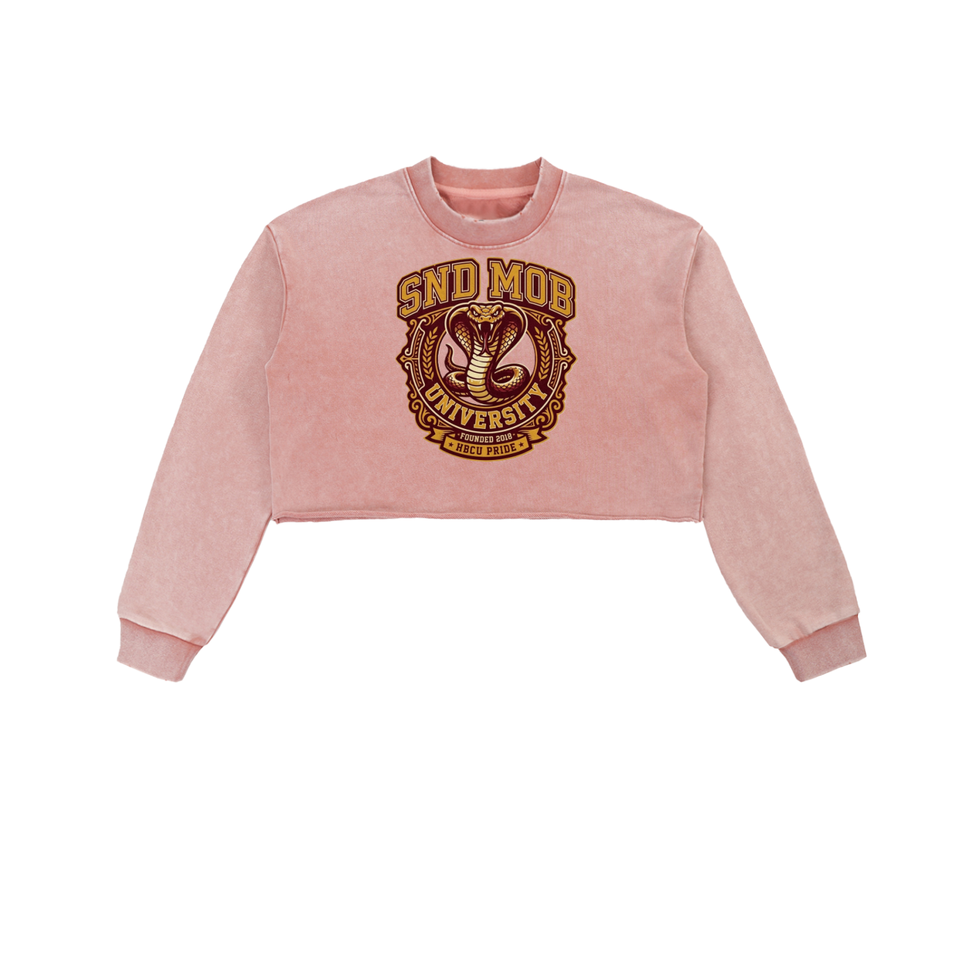 Snow Washed Raw Edge Cropped Sweatshirt