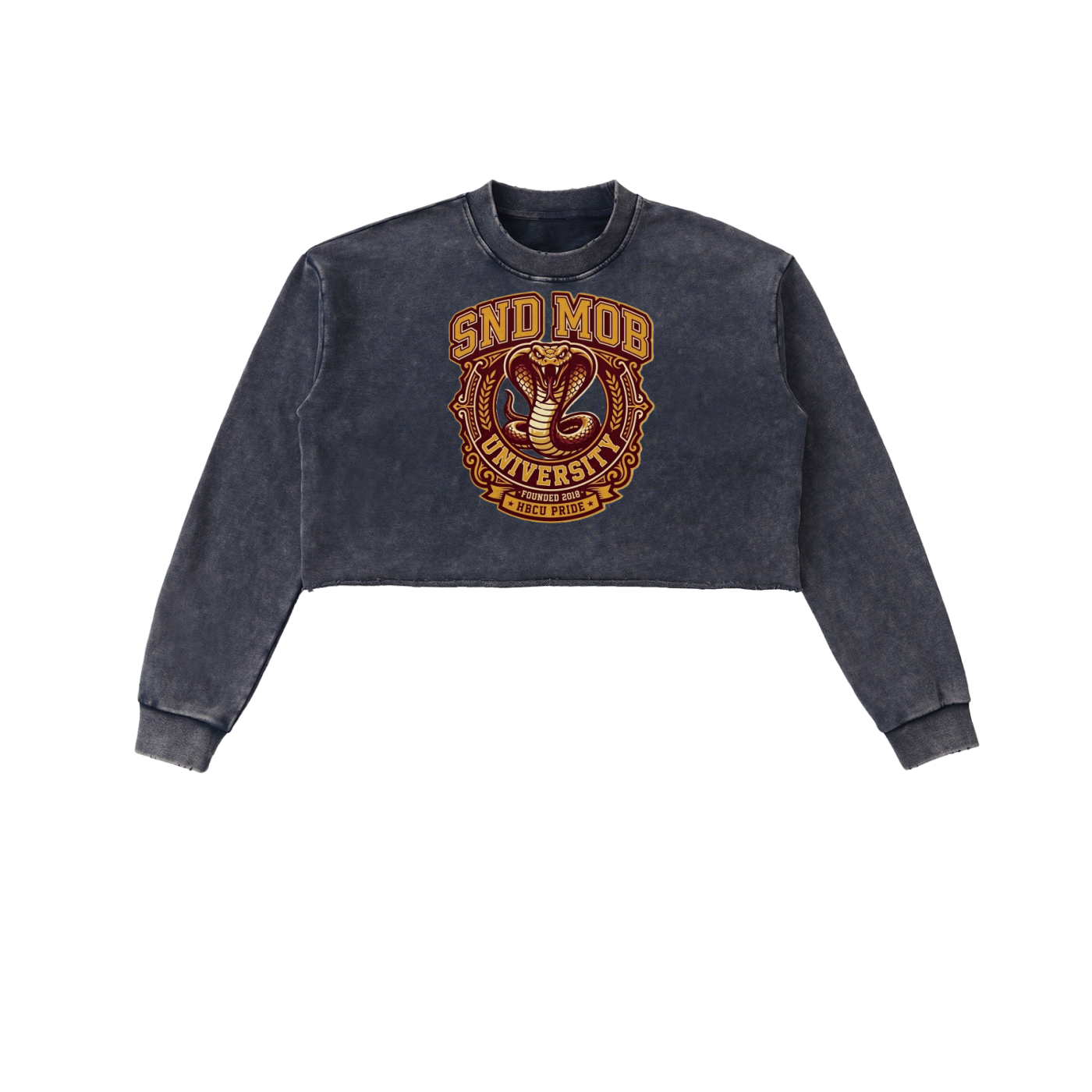 Snow Washed Raw Edge Cropped Sweatshirt