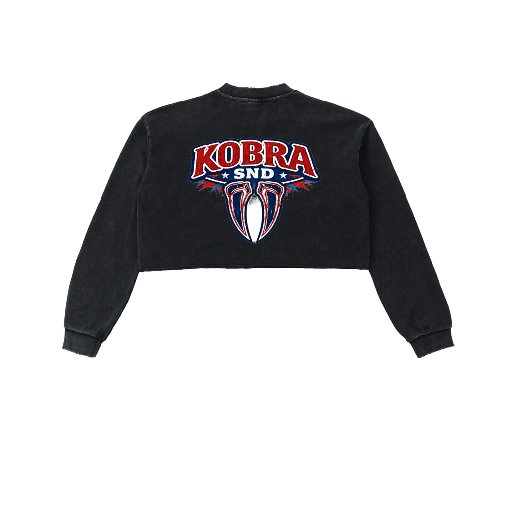 Snow Washed Raw Edge Cropped Sweatshirt