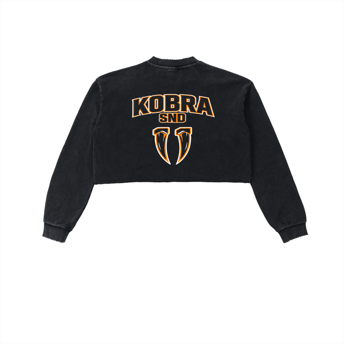 Snow Washed Raw Edge Cropped Sweatshirt