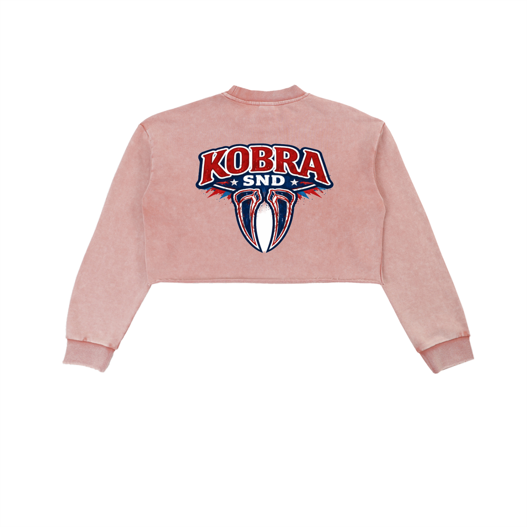 Snow Washed Raw Edge Cropped Sweatshirt