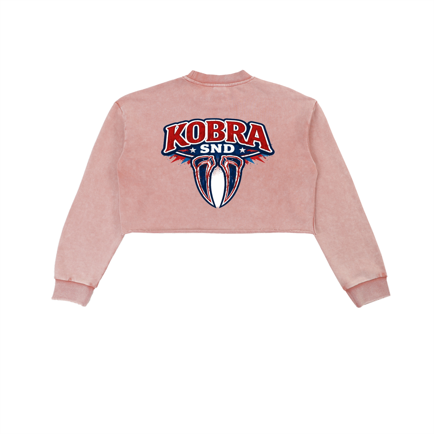 Snow Washed Raw Edge Cropped Sweatshirt