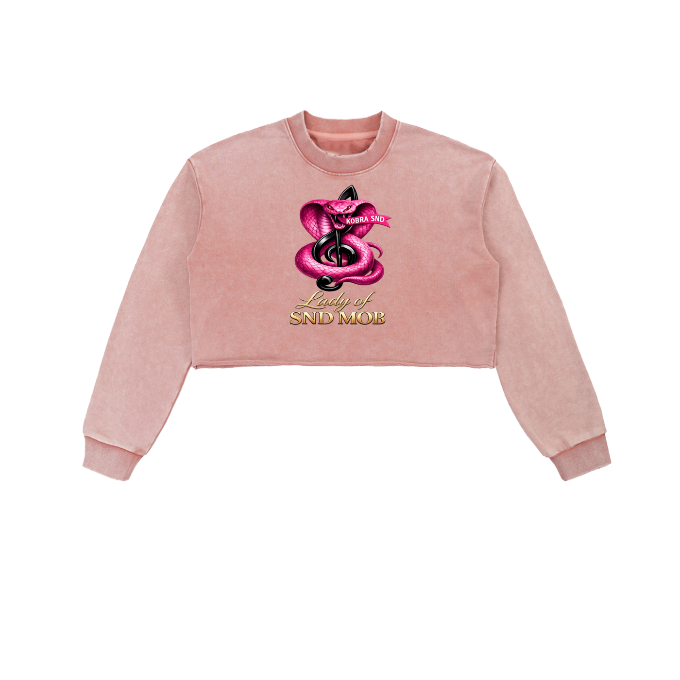 Snow Washed Raw Edge Cropped Sweatshirt
