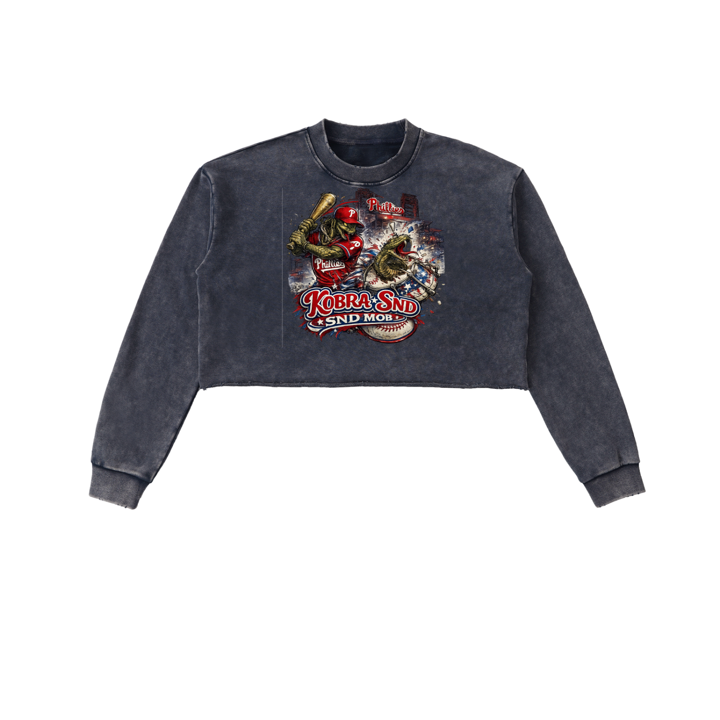 Snow Washed Raw Edge Cropped Sweatshirt