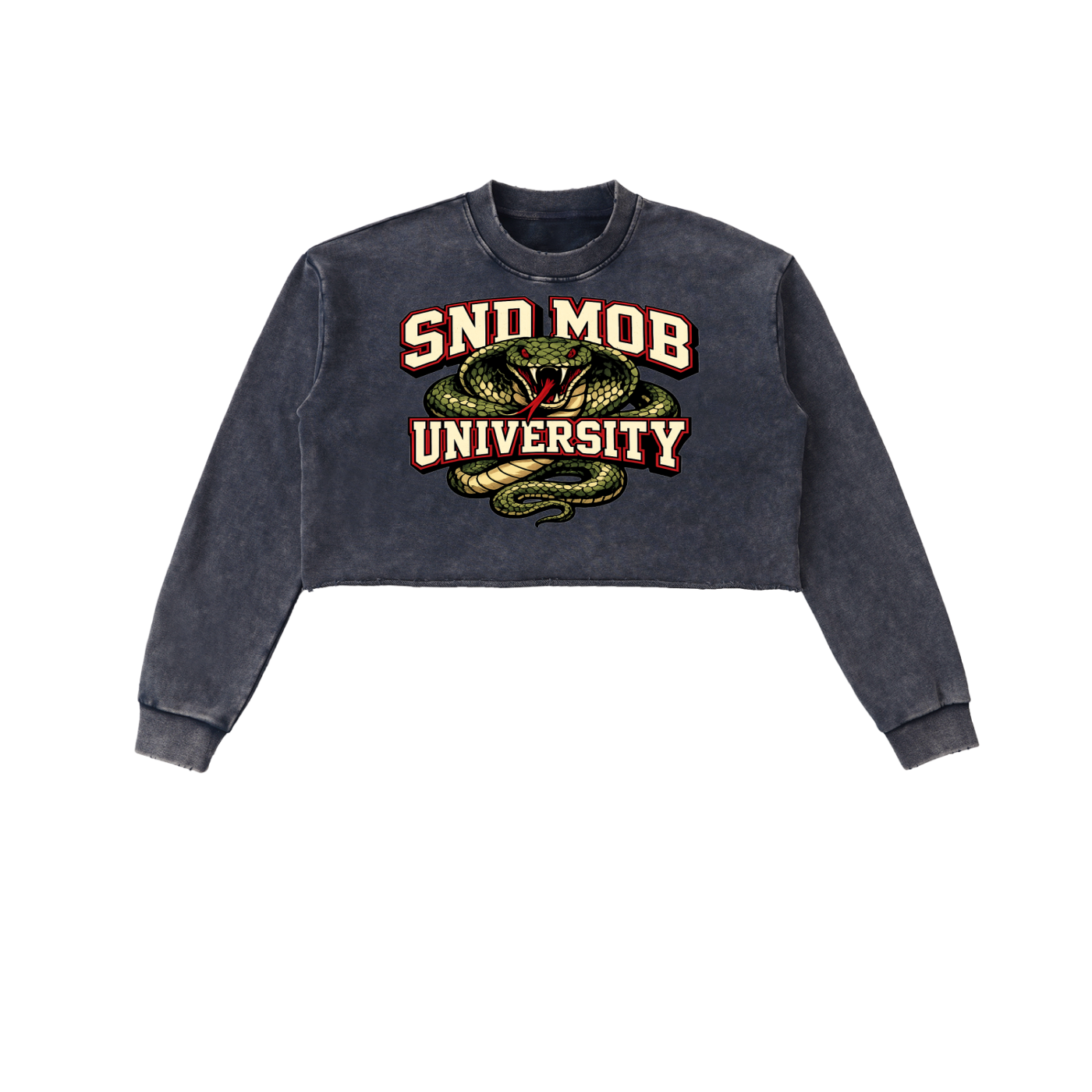Snow Washed Raw Edge Cropped Sweatshirt