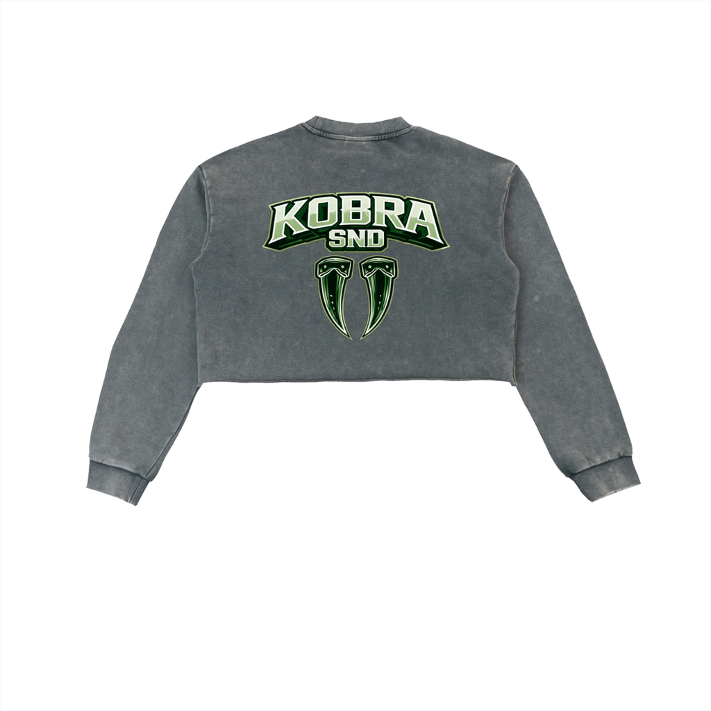 Snow Washed Raw Edge Cropped Sweatshirt