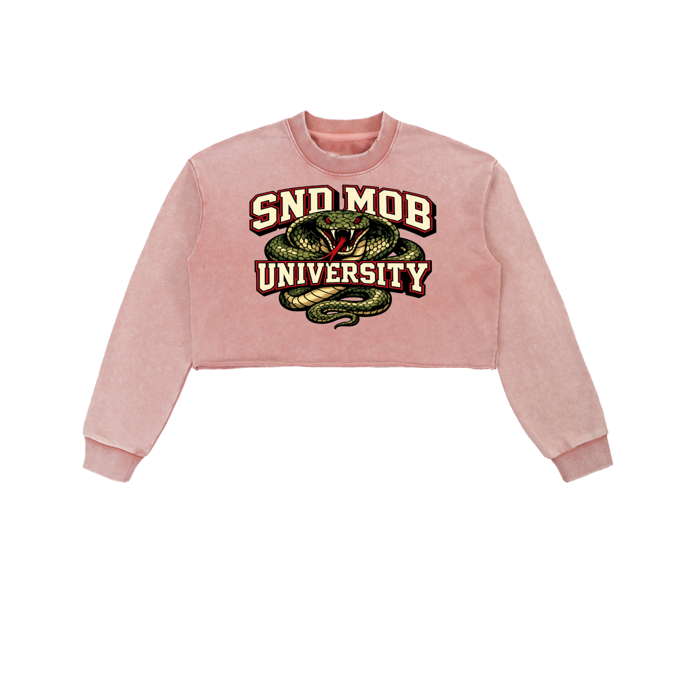 Snow Washed Raw Edge Cropped Sweatshirt