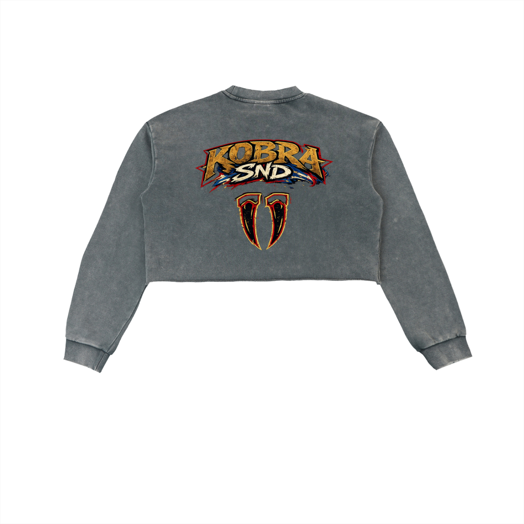 Snow Washed Raw Edge Cropped Sweatshirt