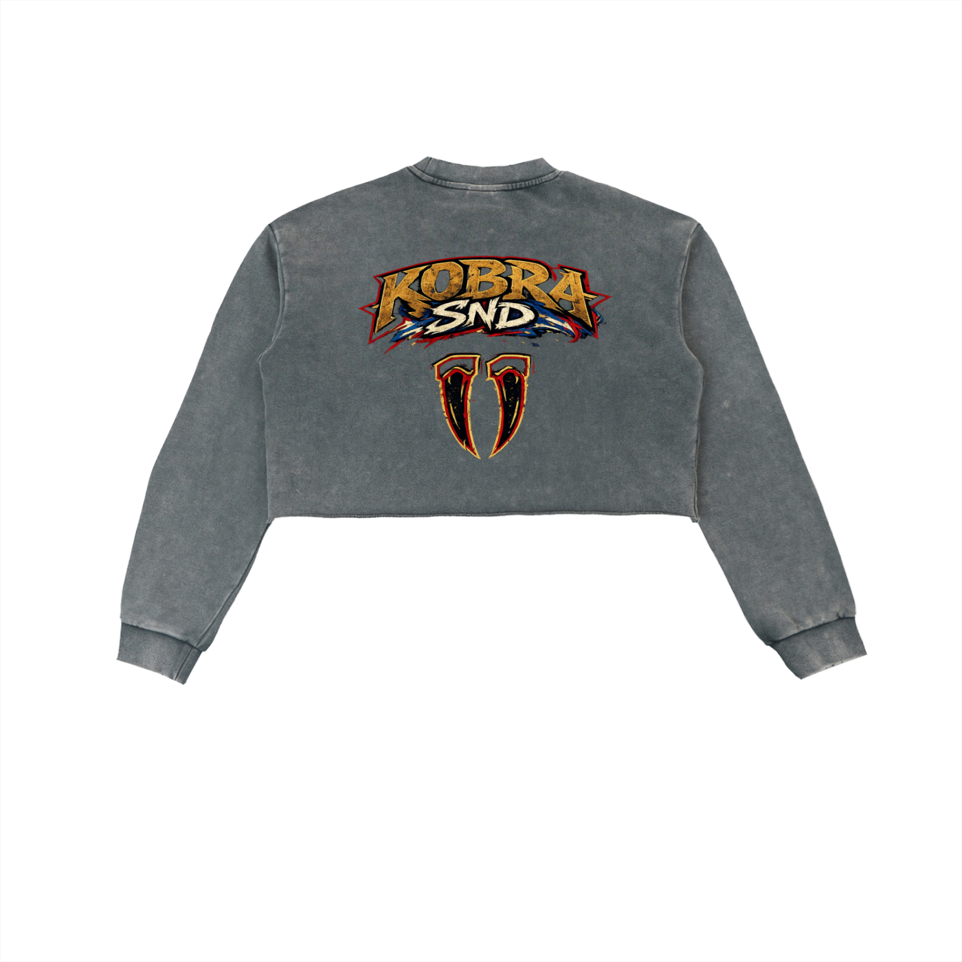 Snow Washed Raw Edge Cropped Sweatshirt