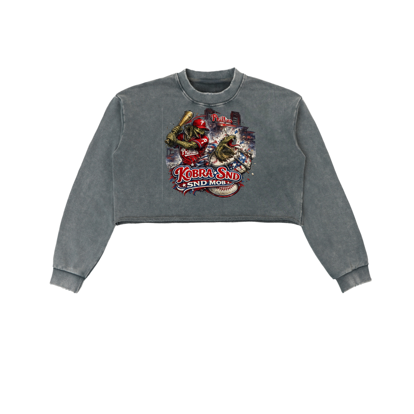Snow Washed Raw Edge Cropped Sweatshirt