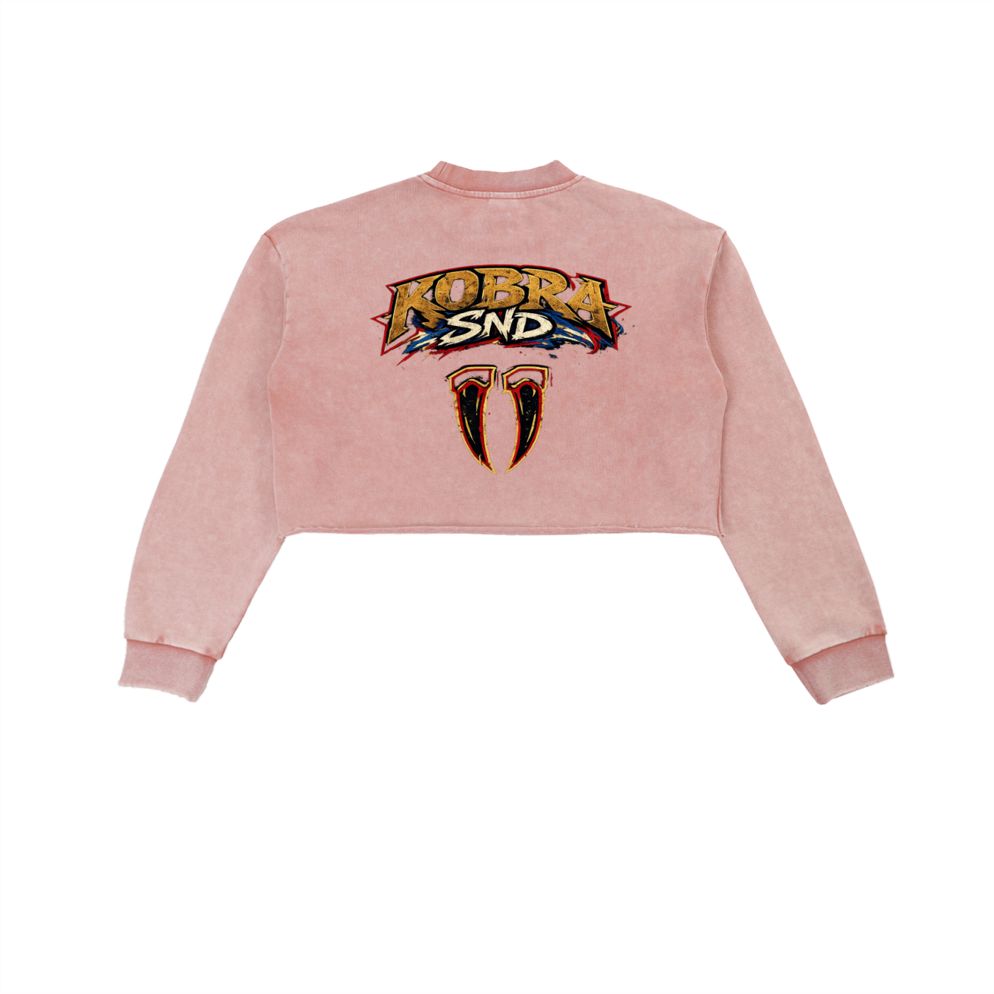 Snow Washed Raw Edge Cropped Sweatshirt