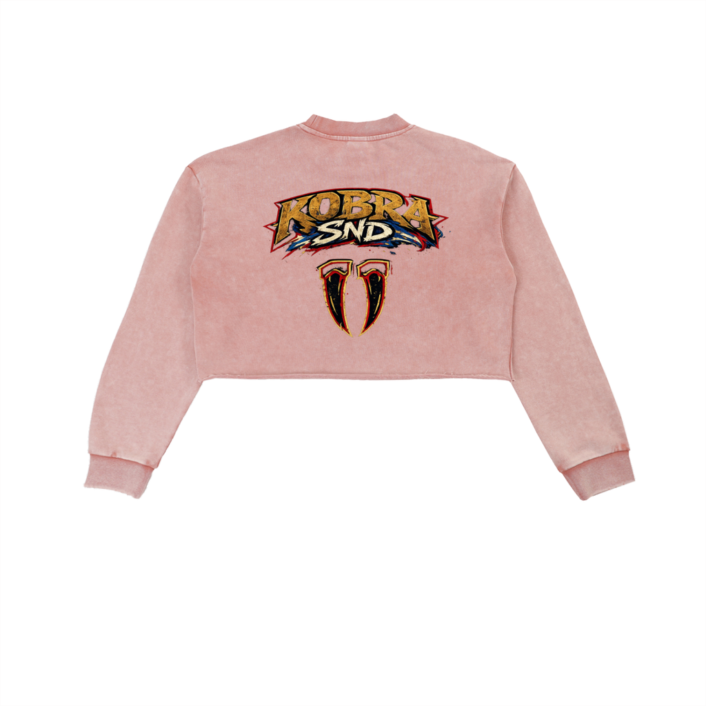 Snow Washed Raw Edge Cropped Sweatshirt