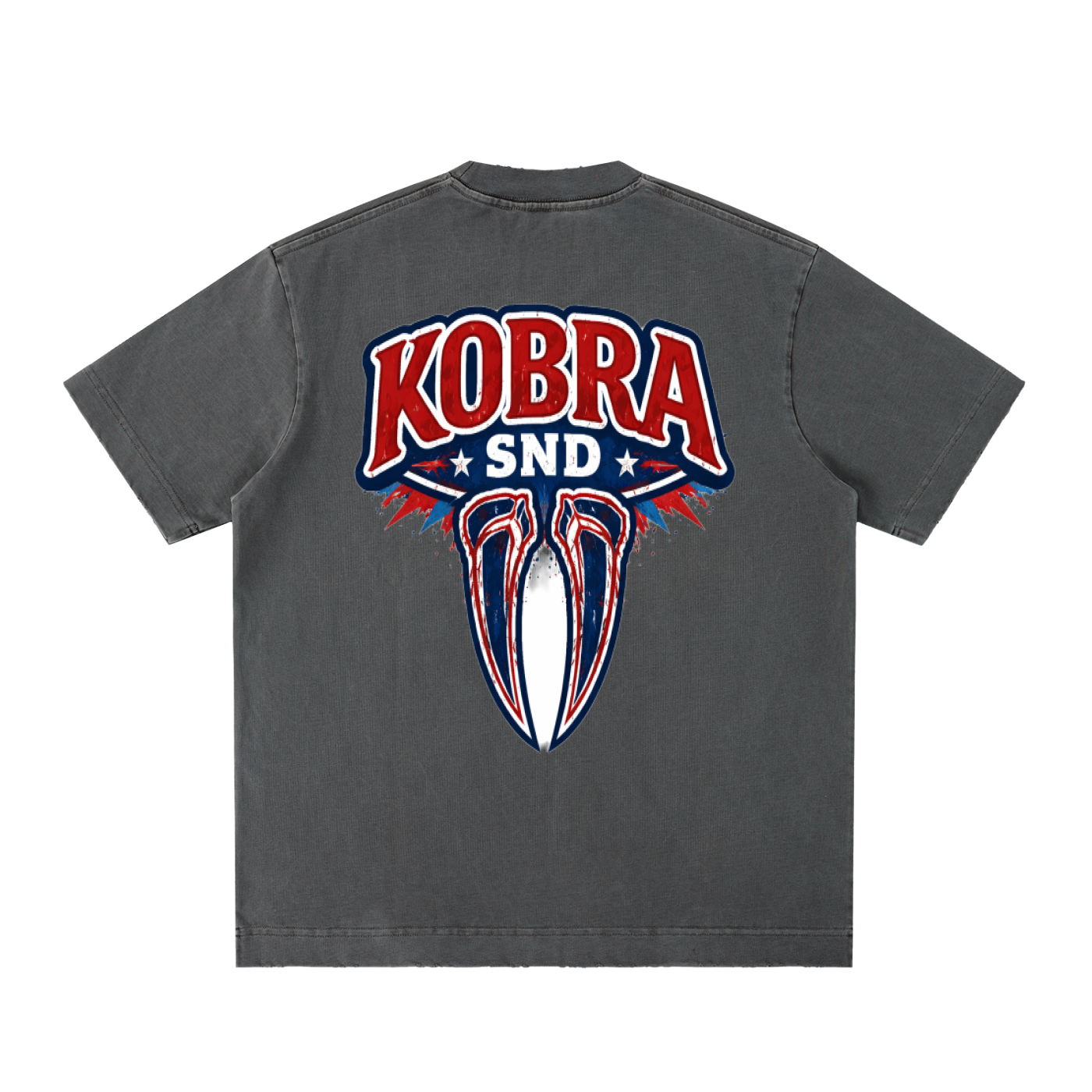 Heavyweight Vintage Washed Frayed T-Shirt